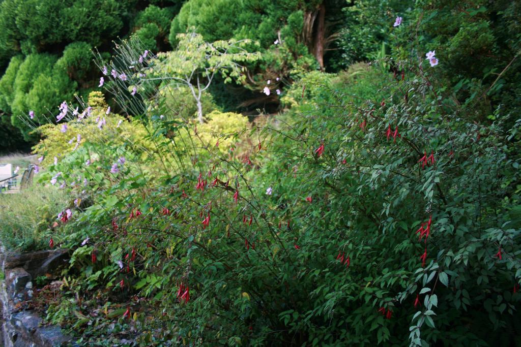 The Bark House Hotel Tiverton  Bagian luar foto