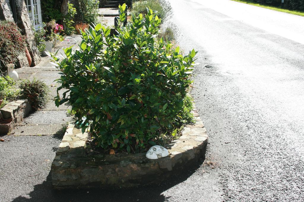 The Bark House Hotel Tiverton  Bagian luar foto
