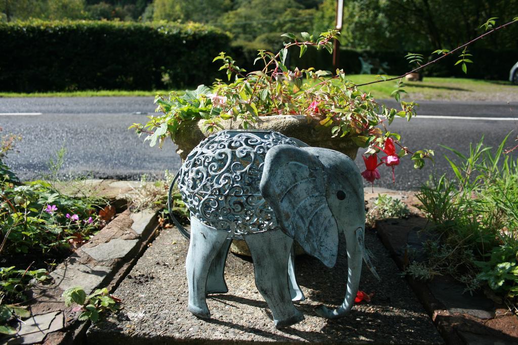The Bark House Hotel Tiverton  Bagian luar foto