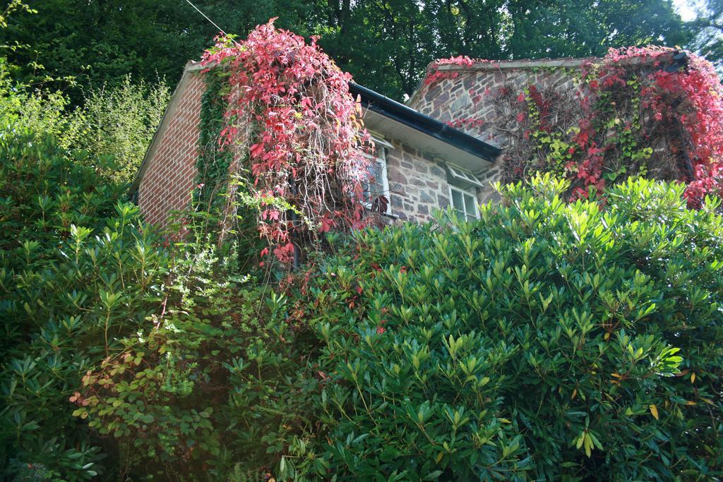 The Bark House Hotel Tiverton  Bagian luar foto