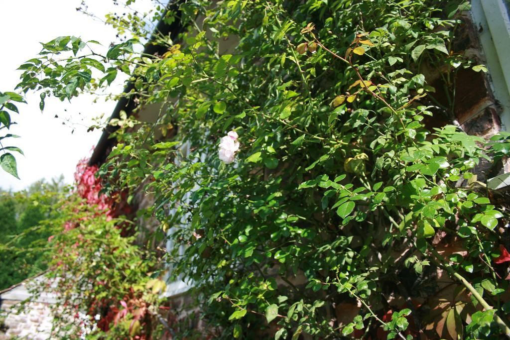 The Bark House Hotel Tiverton  Bagian luar foto