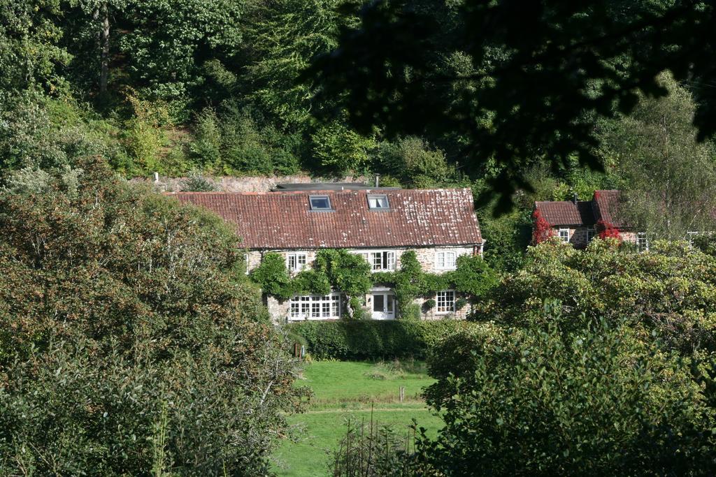 The Bark House Hotel Tiverton  Bagian luar foto
