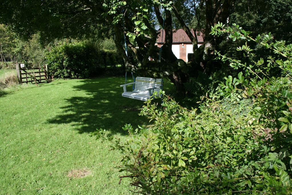The Bark House Hotel Tiverton  Bagian luar foto